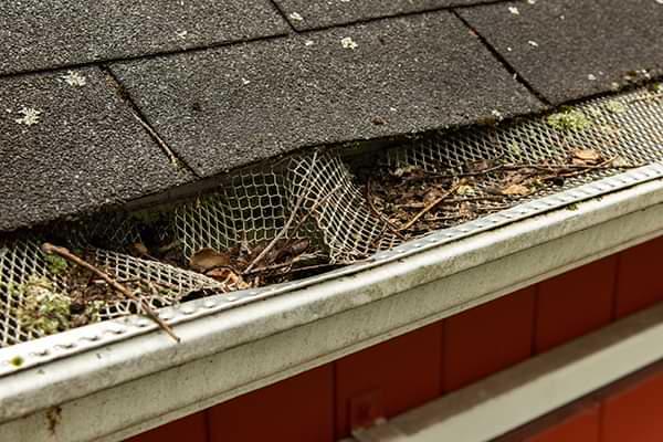 Ohio clogged gutters