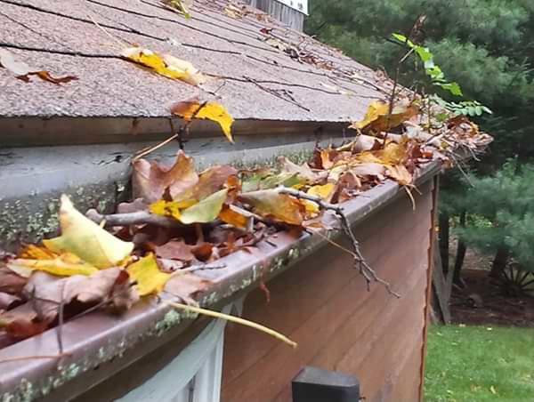 Northeast Ohio clogged gutters